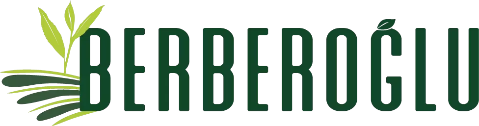 berberoglu-cay-renkli-logo-min-976x257-1.webp